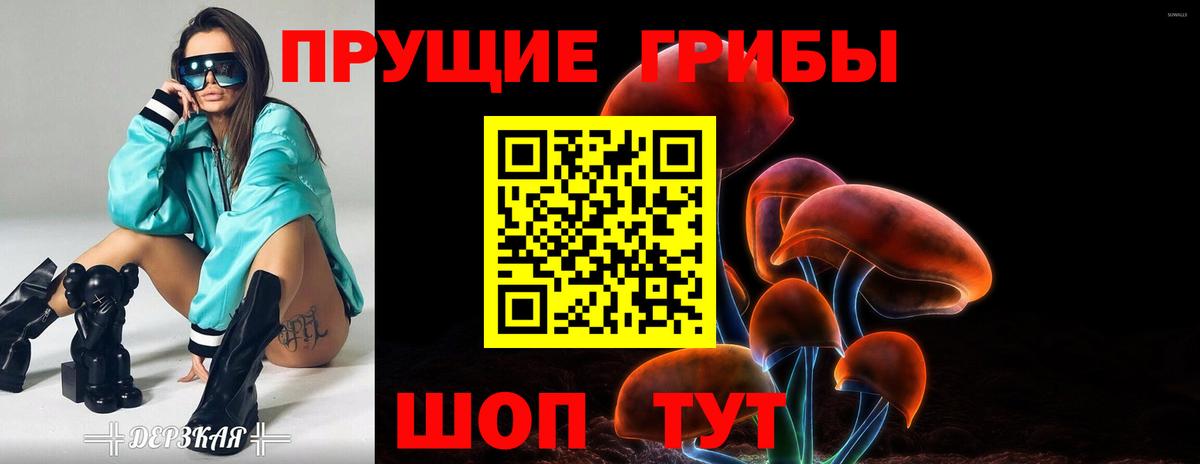 Галлюциногенные грибы GOLDEN TEACHER  Вход с VPN  Гусь-Хрустальный 